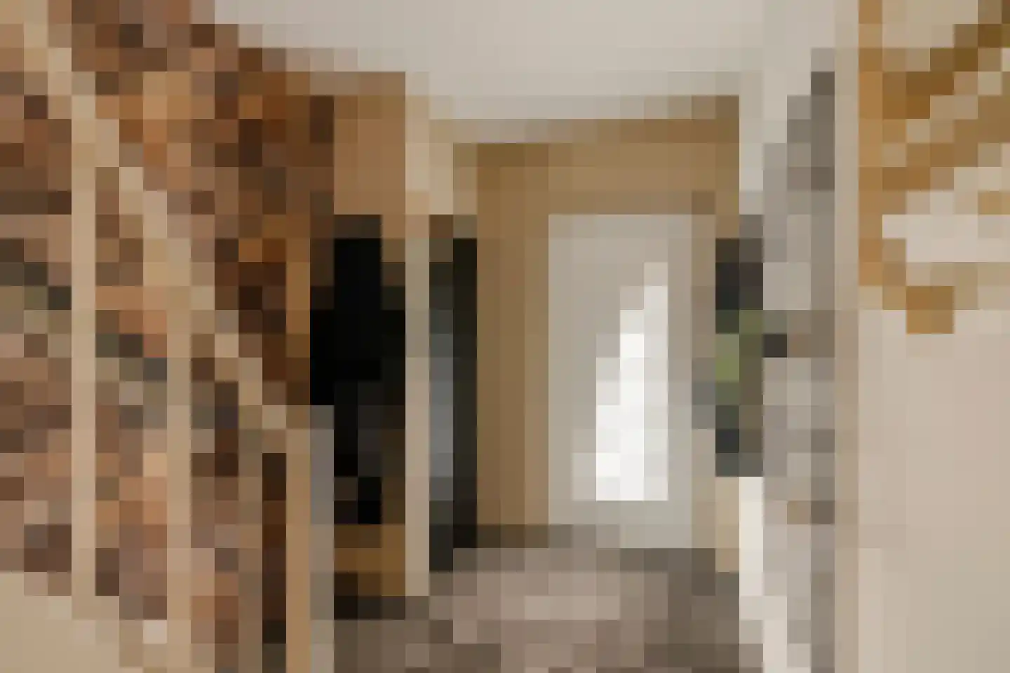 Meeuwenstraat 80 Haarlem thumbnail 43