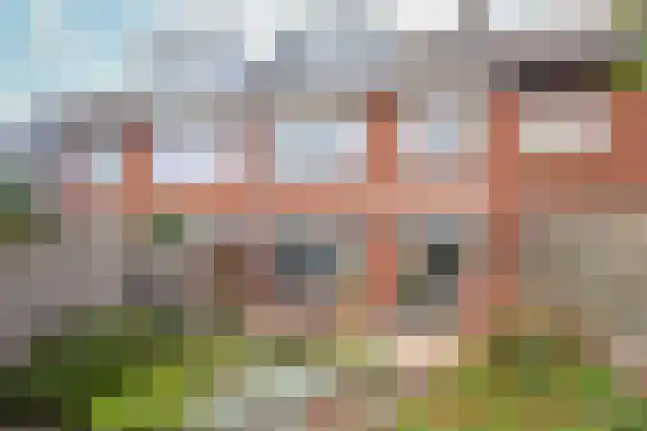 Meeuwenstraat 91 Haarlem thumbnail 19