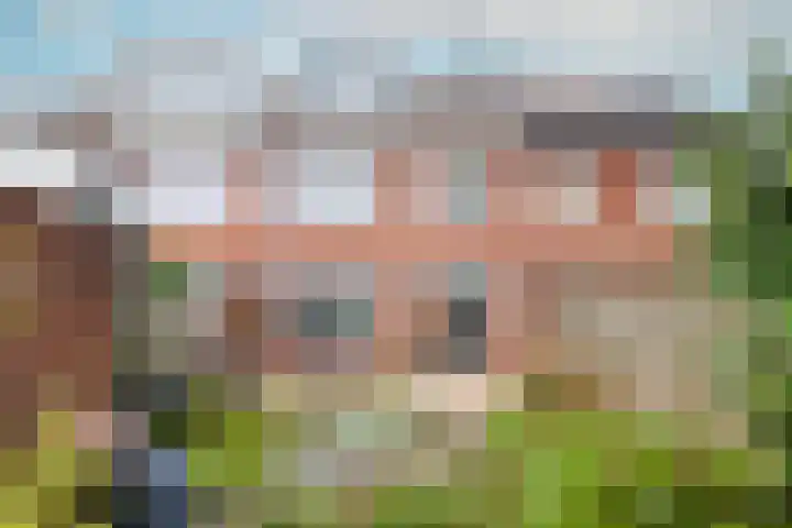Meeuwenstraat 91 Haarlem thumbnail 21