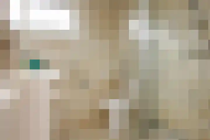 Meeuwenstraat 91 Haarlem thumbnail 31