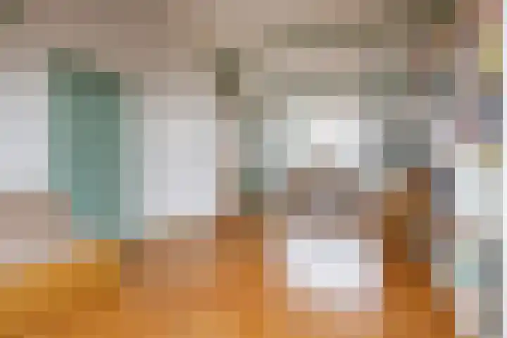 Meeuwenstraat 91 Haarlem thumbnail 33