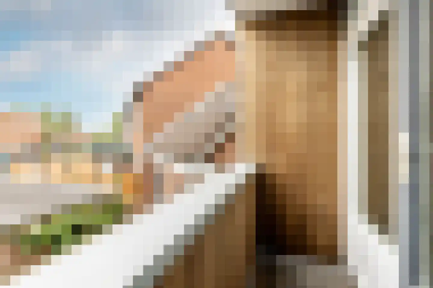 Meeuwenstraat 94 Haarlem thumbnail 18
