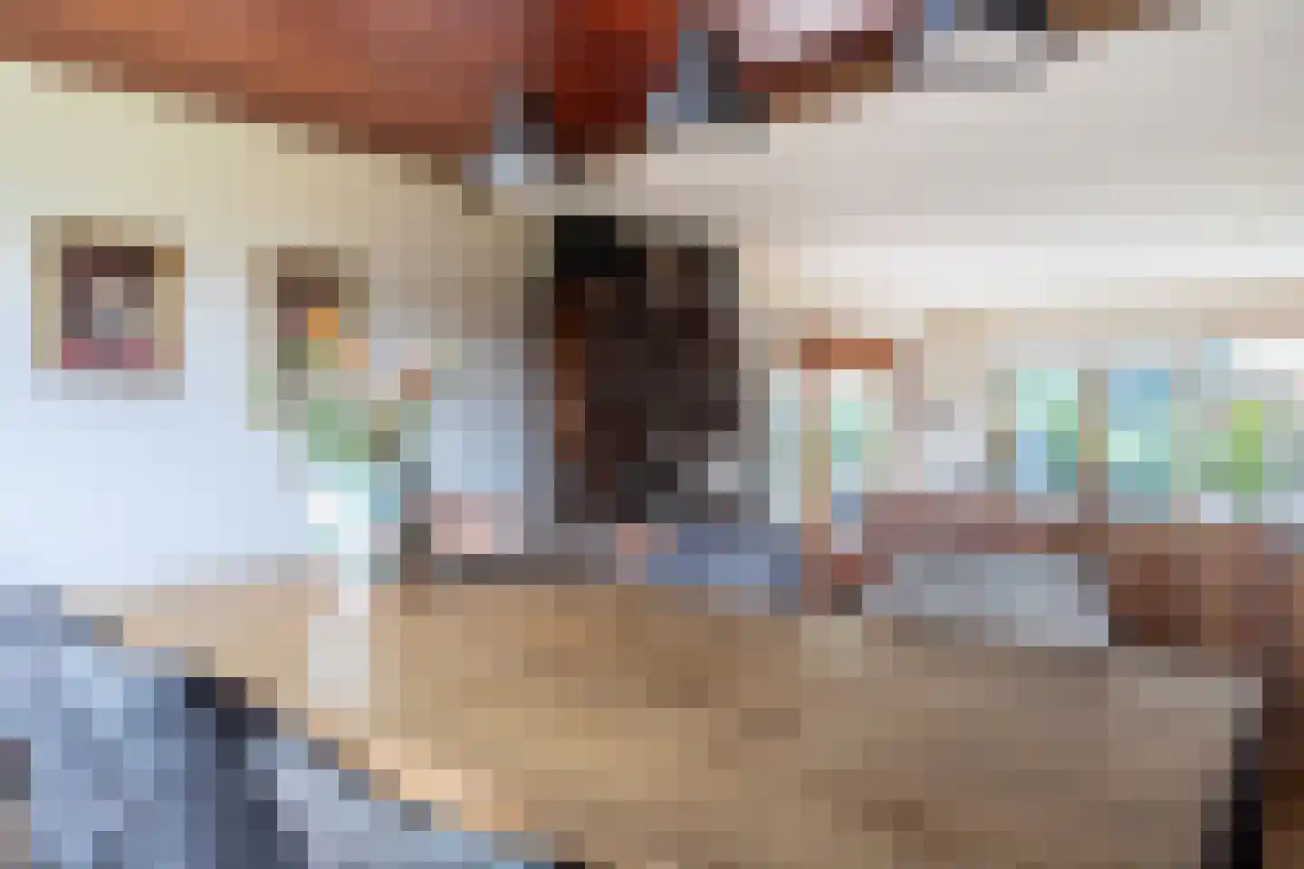 Meeuwenveenseweg 11 Voorthuizen thumbnail 10