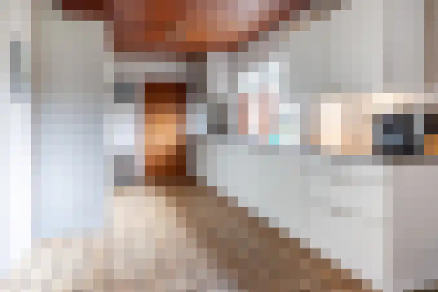 Meeuwenveenseweg 11 Voorthuizen thumbnail 12
