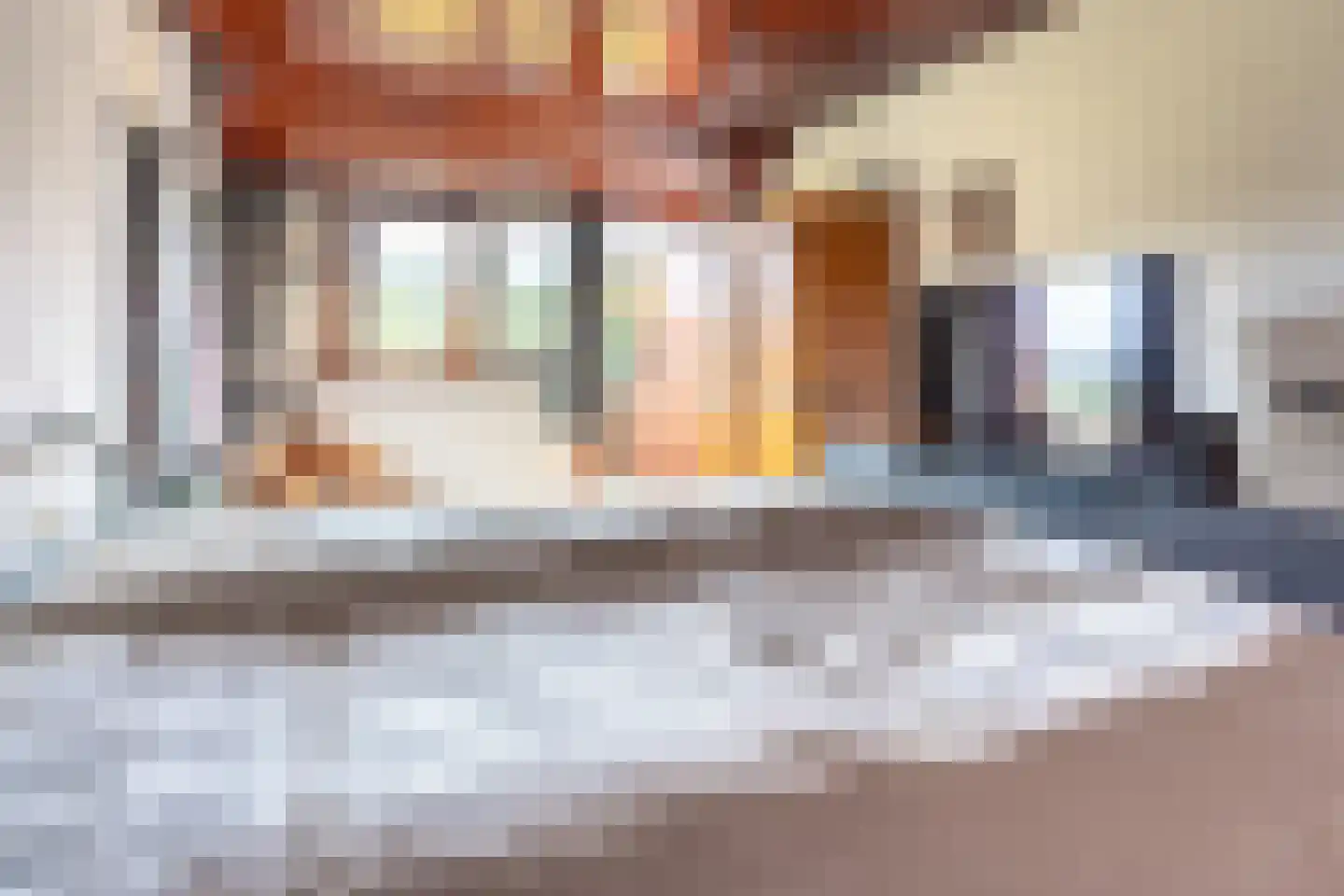 Meeuwenveenseweg 11 Voorthuizen thumbnail 21