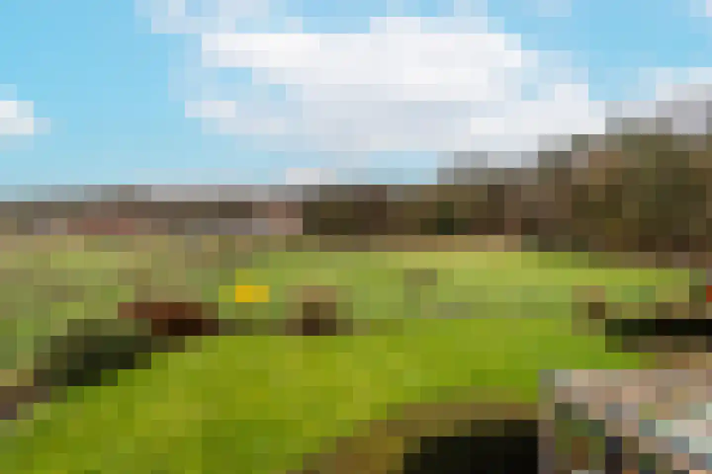 Meeuwenveenseweg 11 Voorthuizen thumbnail 23