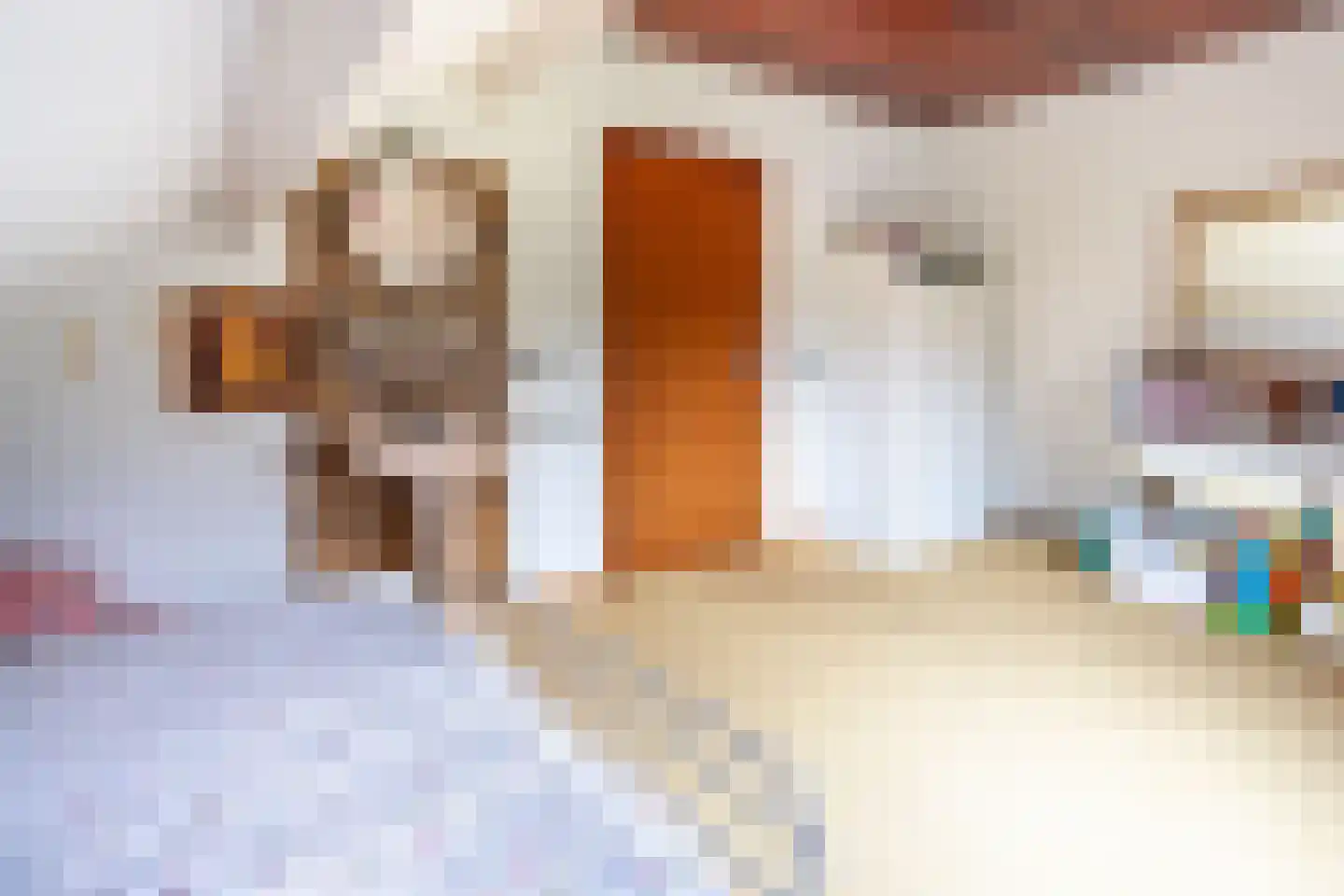 Meeuwenveenseweg 11 Voorthuizen thumbnail 25