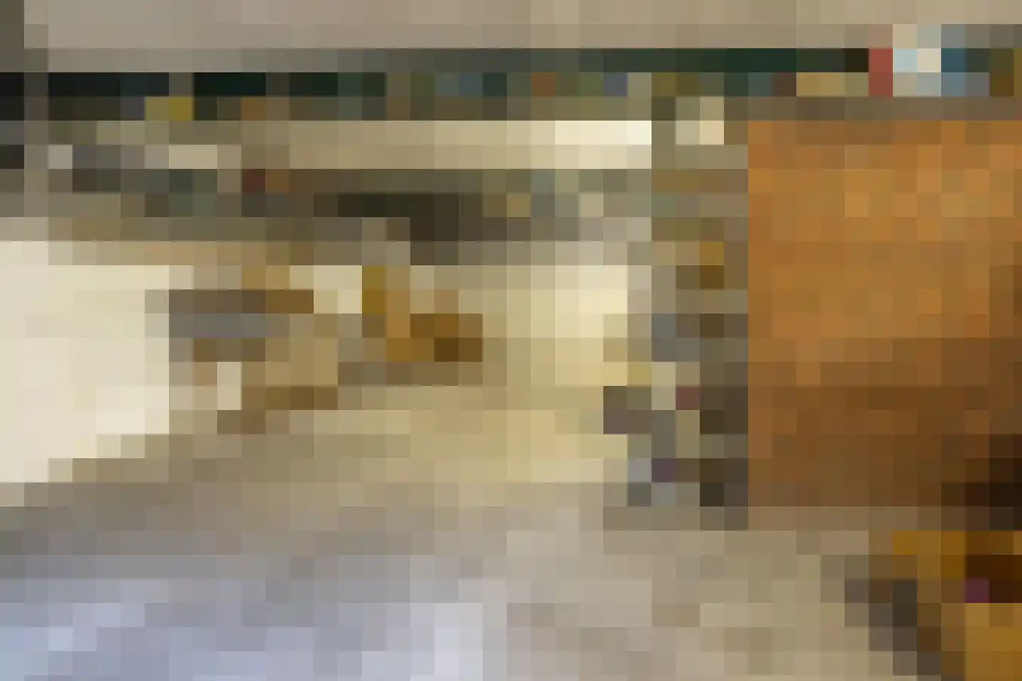 Meeuwenveenseweg 11 Voorthuizen thumbnail 29