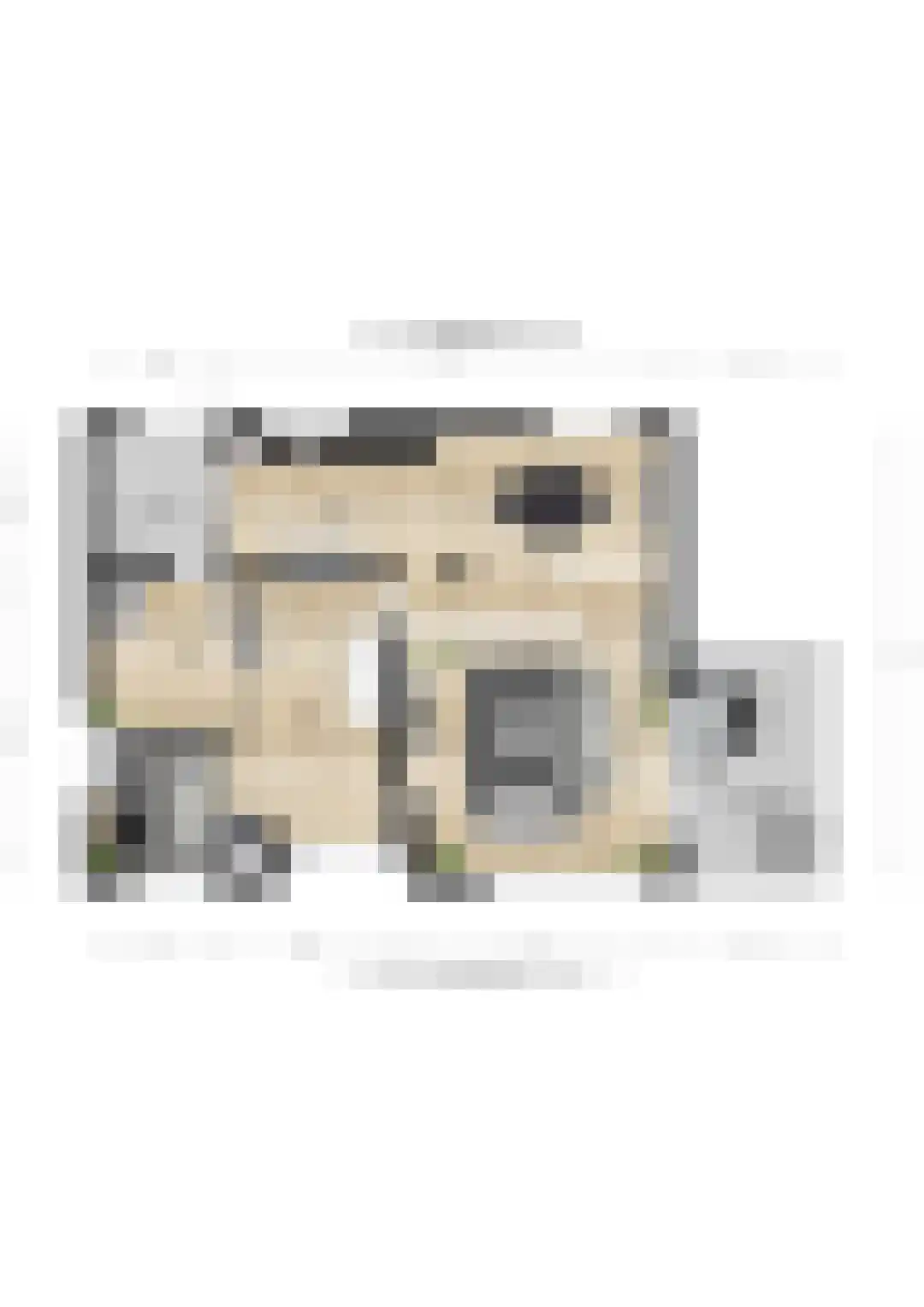 Meeuwenveenseweg 11 Voorthuizen thumbnail 33