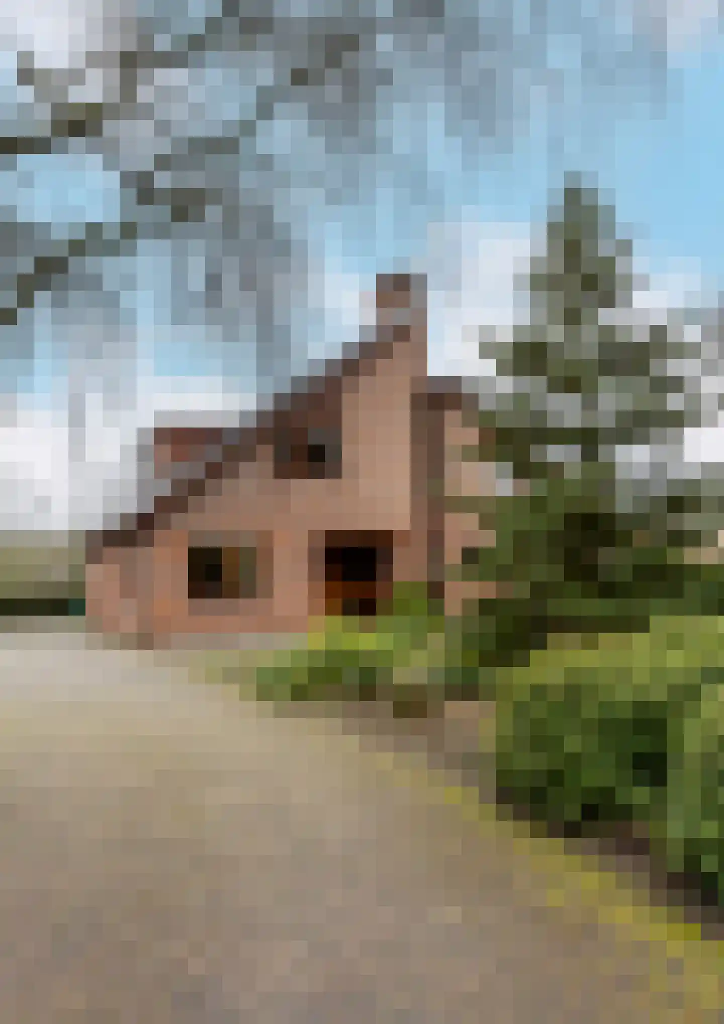 Meeuwenveenseweg 11 Voorthuizen thumbnail 4