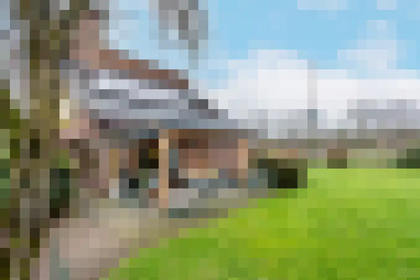 Meeuwenveenseweg 11 Voorthuizen thumbnail 6