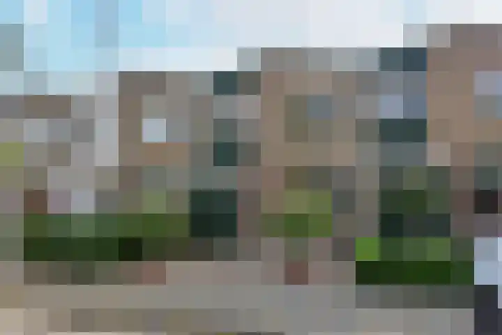 Meeuwenveld 10 Nieuwveen