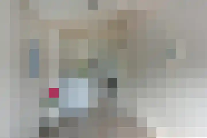 Meeuwenveld 10 Nieuwveen thumbnail 12