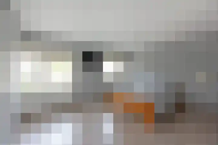 Meeuwenveld 10 Nieuwveen thumbnail 15