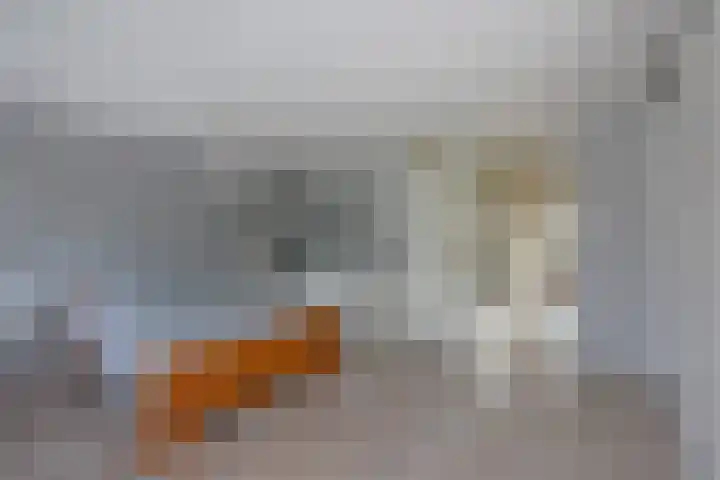 Meeuwenveld 10 Nieuwveen thumbnail 16
