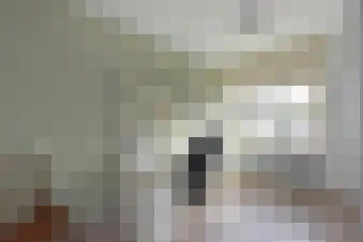 Meeuwenveld 10 Nieuwveen thumbnail 18