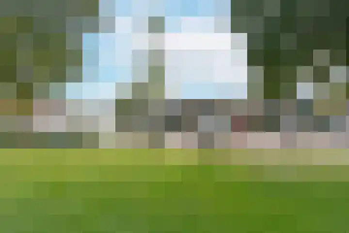 Meeuwenveld 10 Nieuwveen thumbnail 21