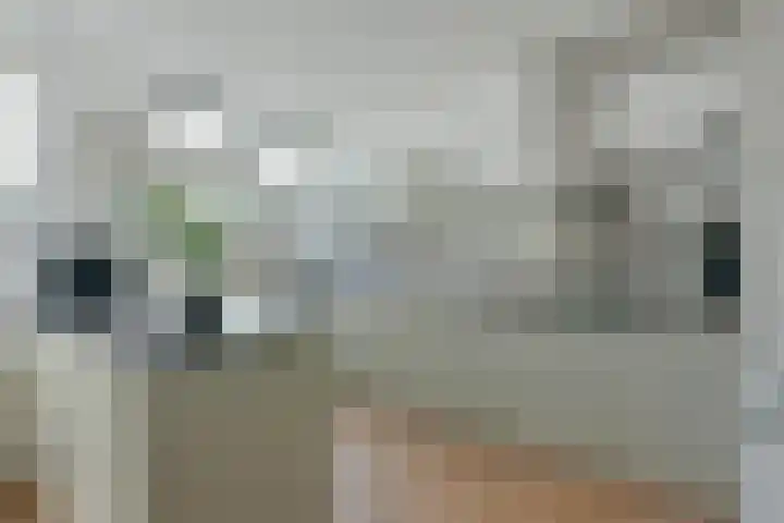 Meeuwenveld 10 Nieuwveen thumbnail 6