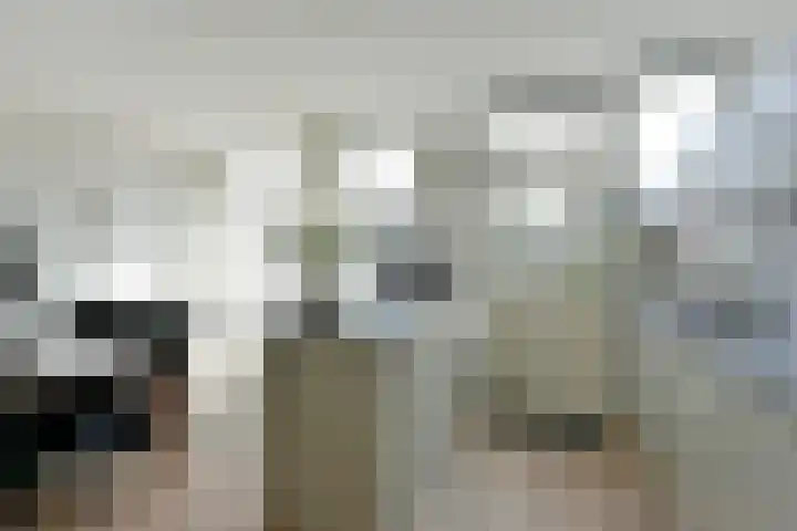 Meeuwenveld 10 Nieuwveen thumbnail 7