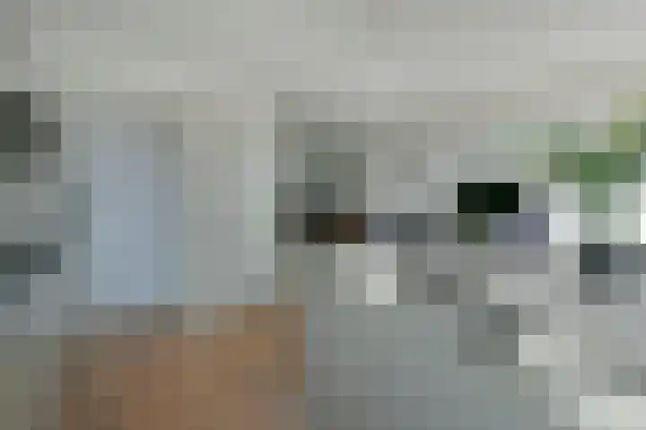 Meeuwenveld 10 Nieuwveen thumbnail 8