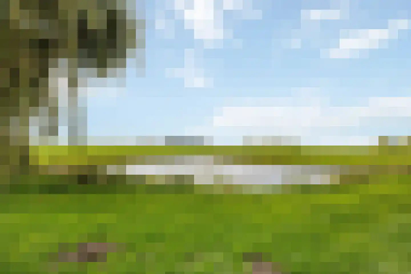 Meeuwenveld 117 Weesp thumbnail 20