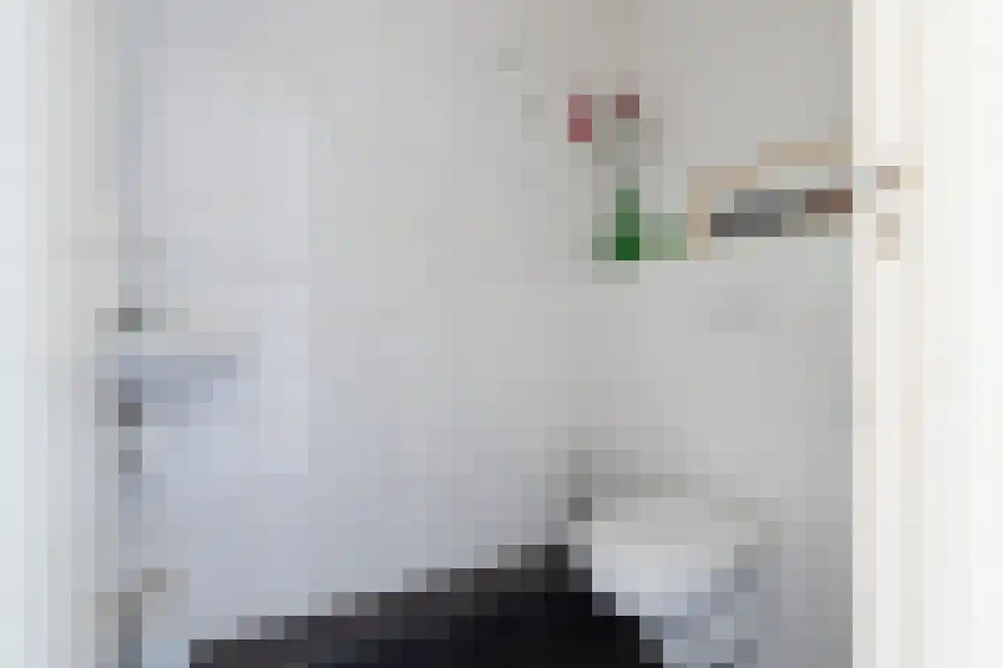Meeuwenveld 129 Ballum thumbnail 14