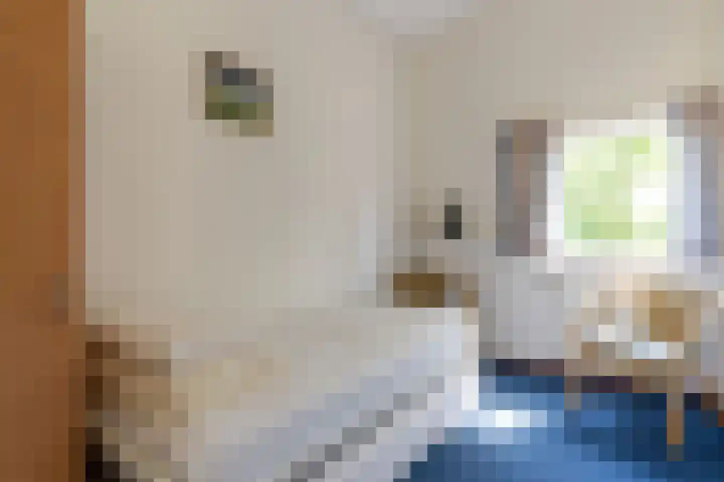 Meeuwenveld 129 Ballum thumbnail 17