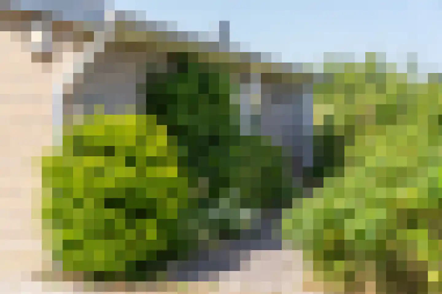 Meeuwenveld 129 Ballum thumbnail 22