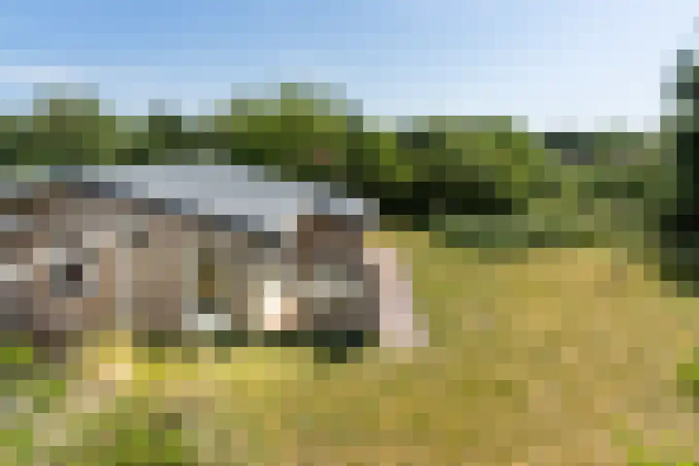 Meeuwenveld 129 Ballum thumbnail 24