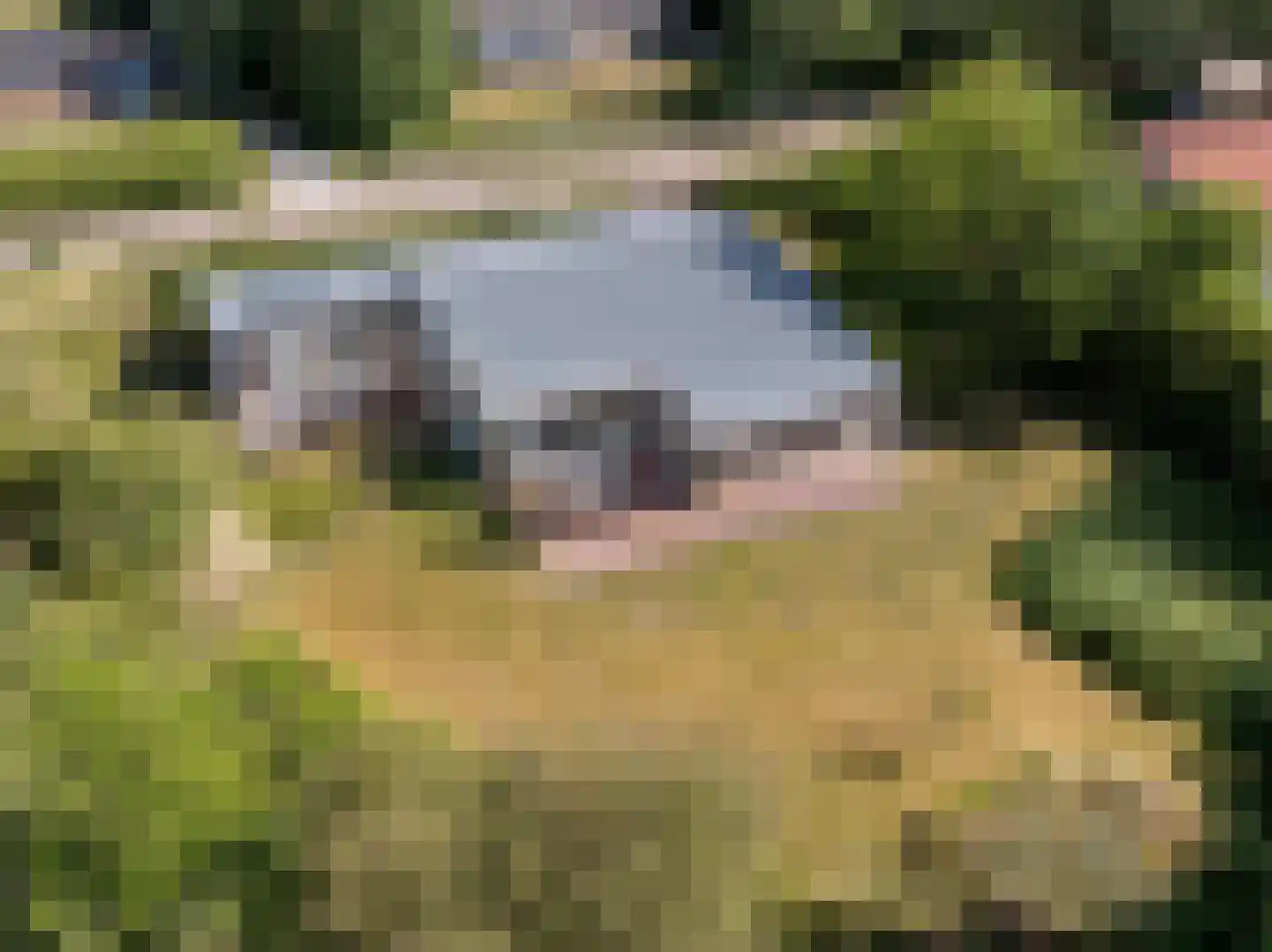 Meeuwenveld 129 Ballum thumbnail 26