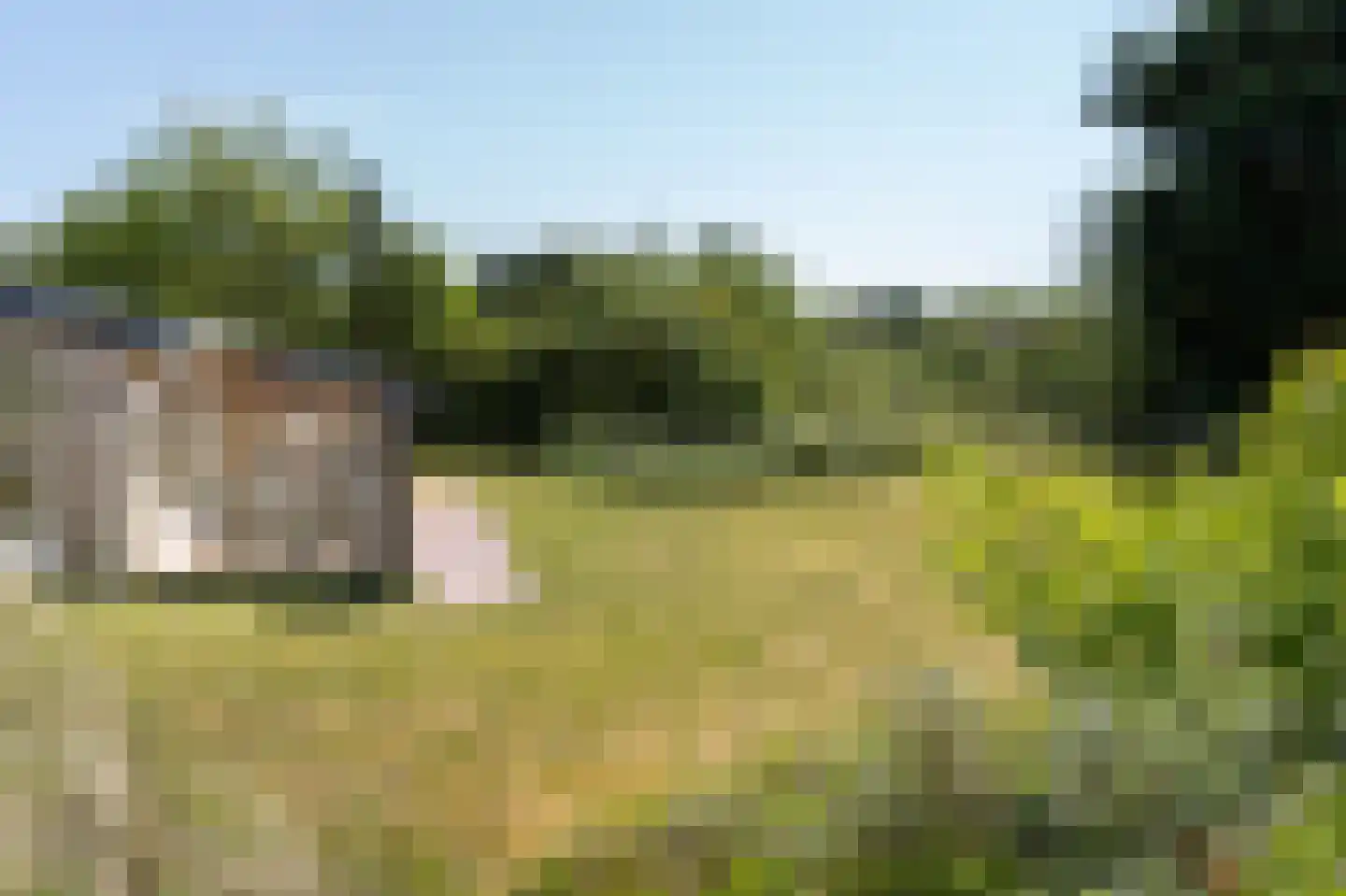 Meeuwenveld 129 Ballum thumbnail 27