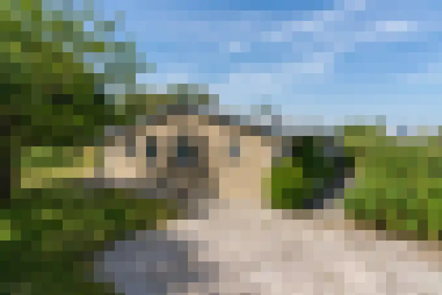 Meeuwenveld 129 Ballum thumbnail 28