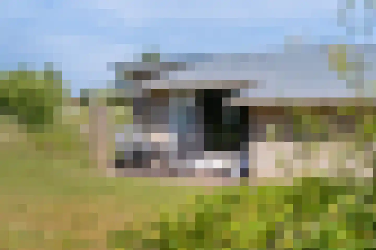 Meeuwenveld 129 Ballum thumbnail 30