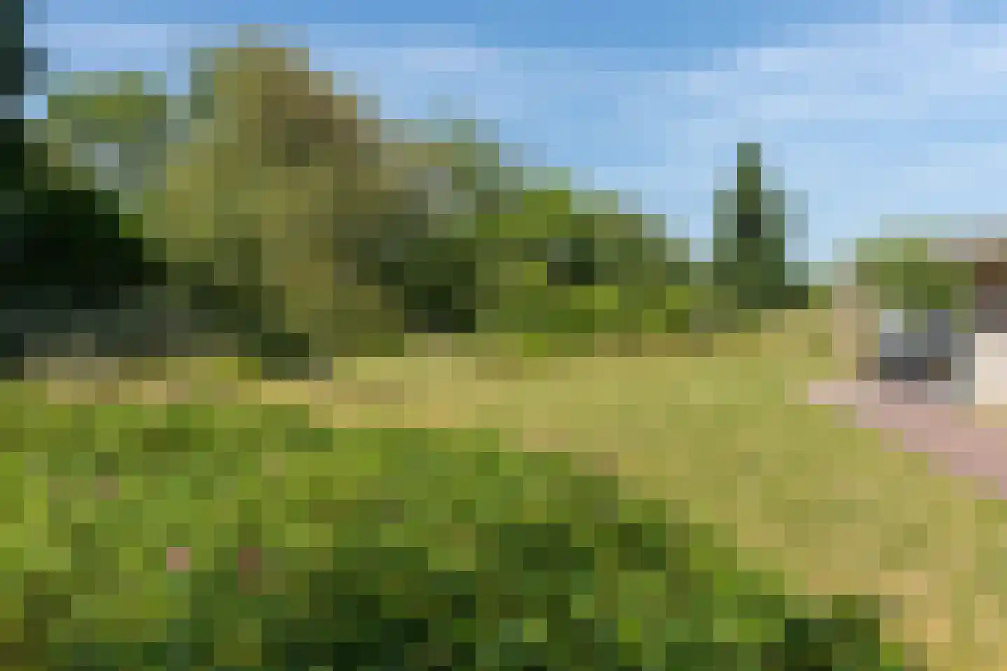 Meeuwenveld 129 Ballum thumbnail 31