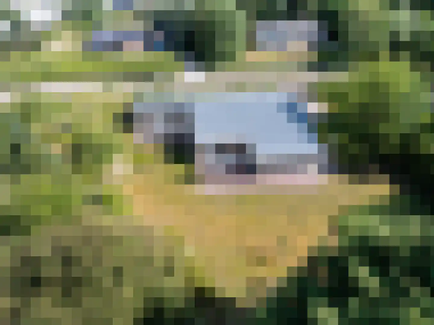Meeuwenveld 129 Ballum thumbnail 33