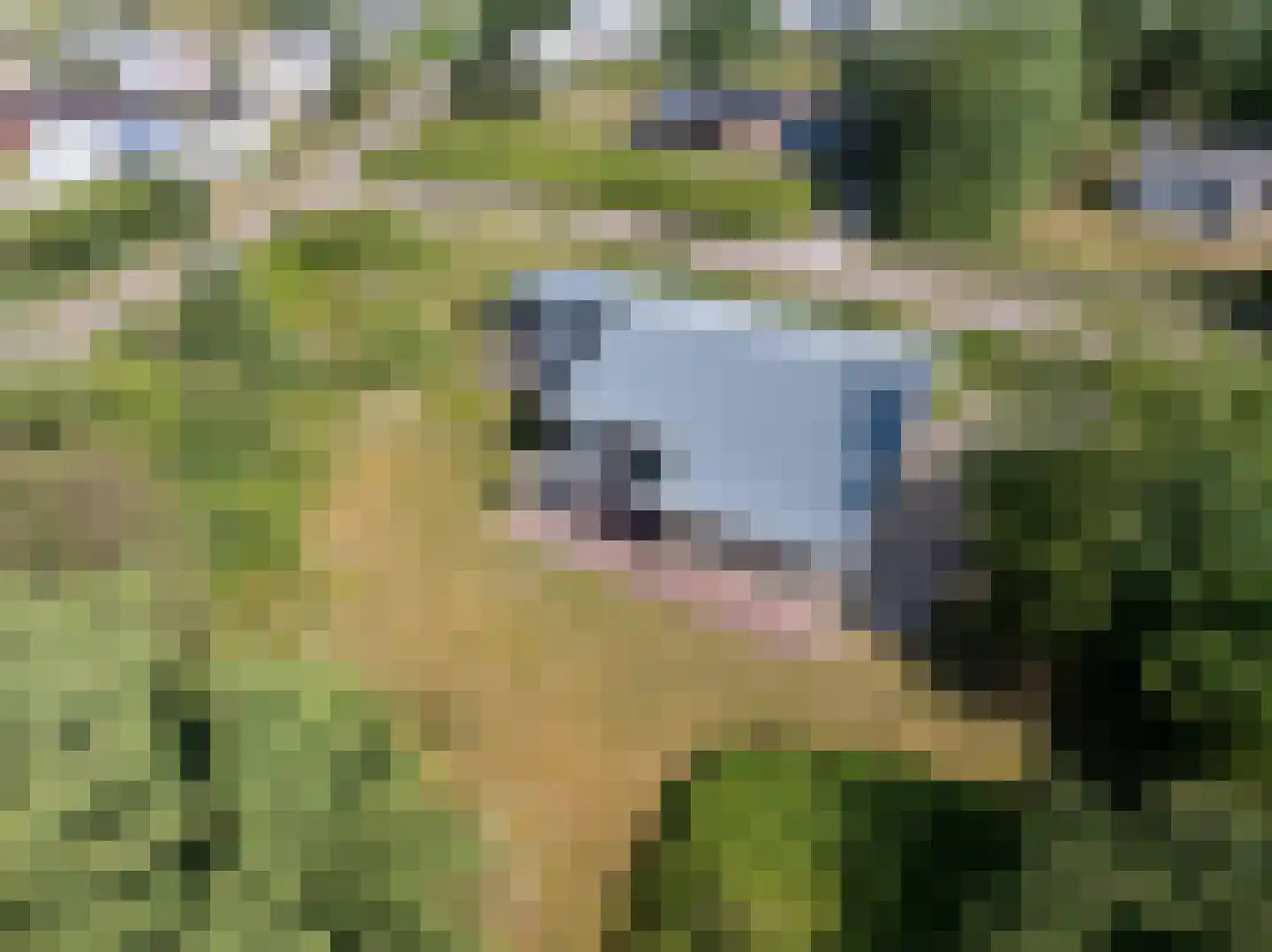 Meeuwenveld 129 Ballum thumbnail 34