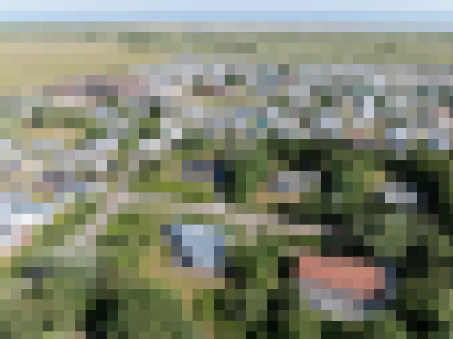 Meeuwenveld 129 Ballum thumbnail 35