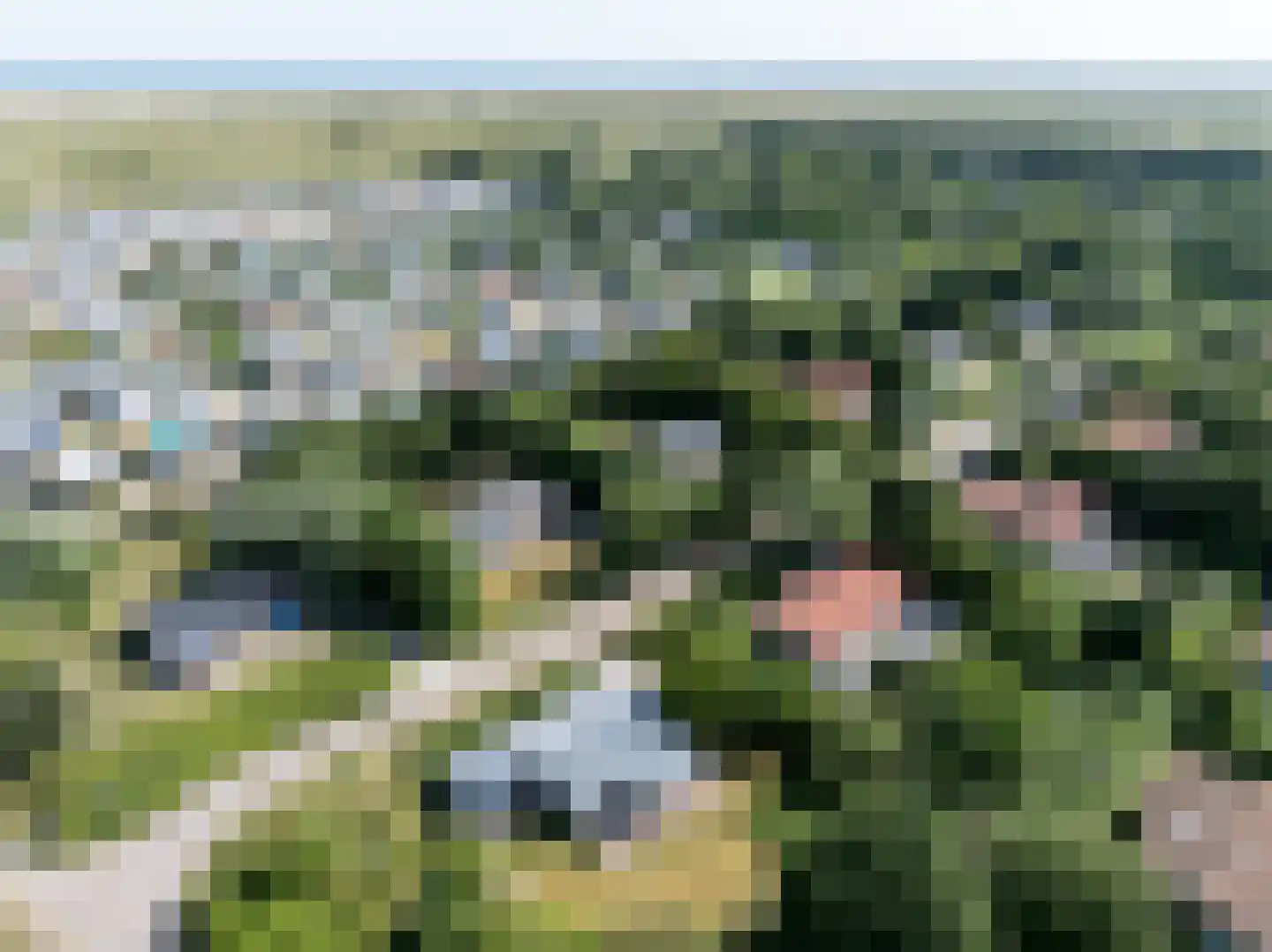 Meeuwenveld 129 Ballum thumbnail 36