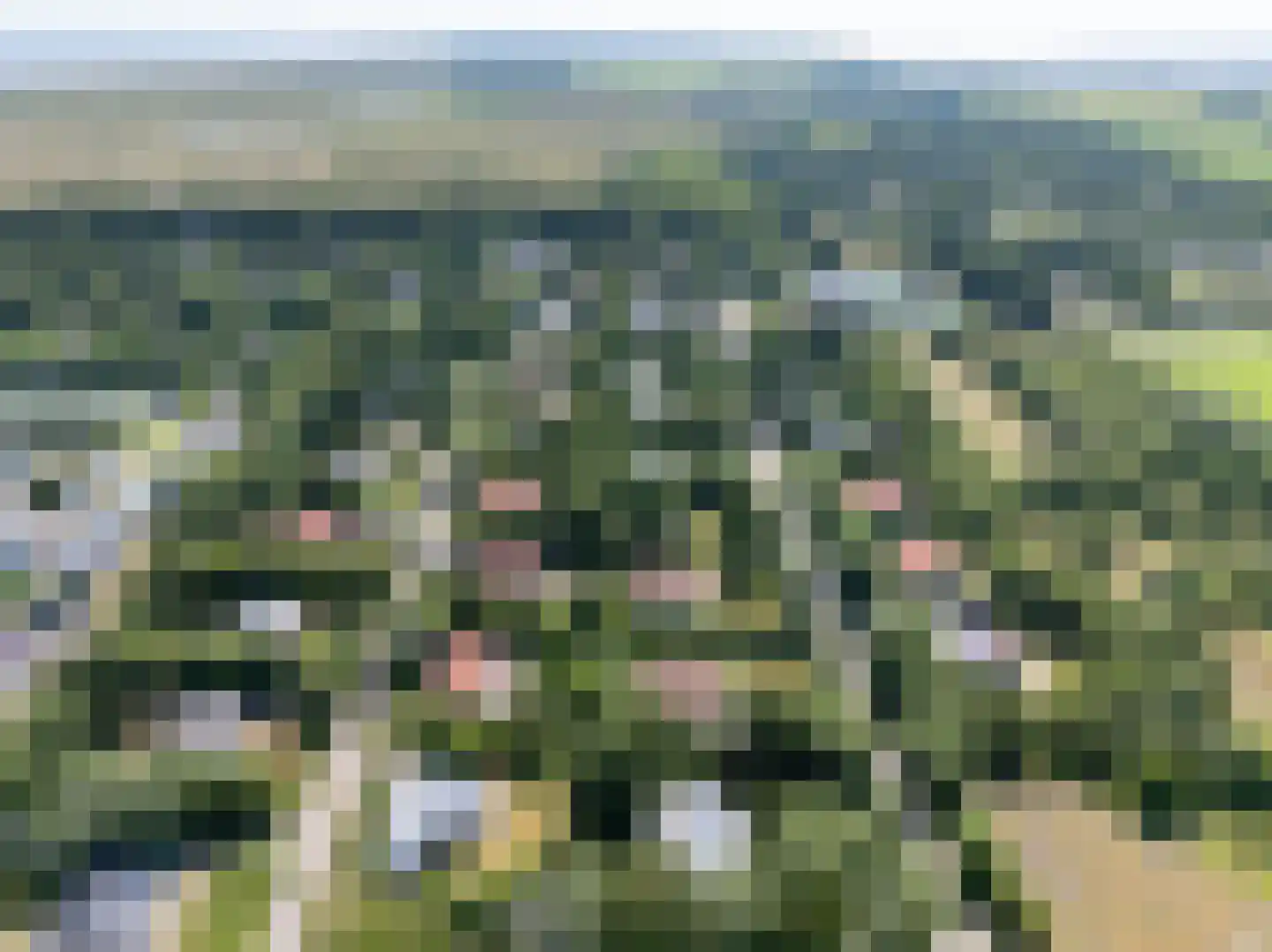 Meeuwenveld 129 Ballum thumbnail 37