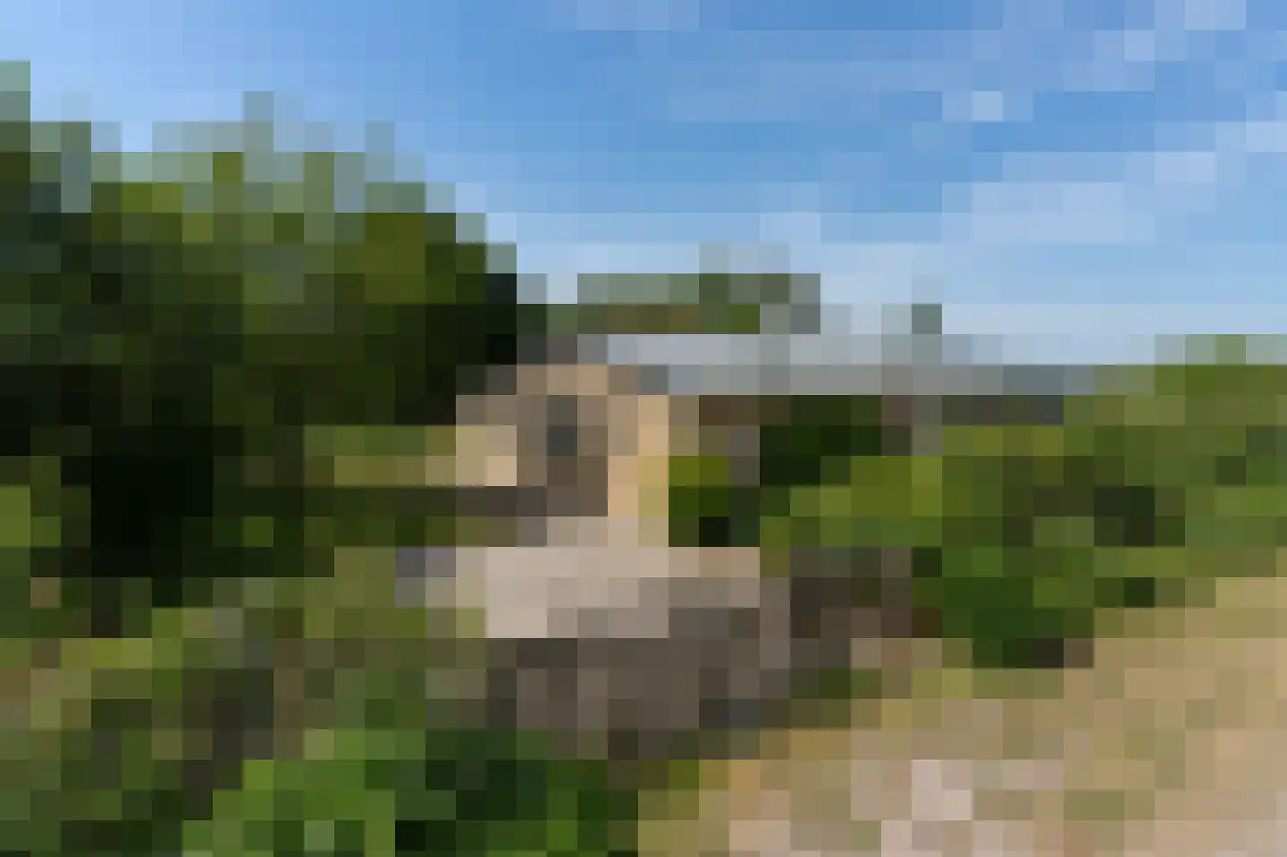 Meeuwenveld 129 Ballum thumbnail 6