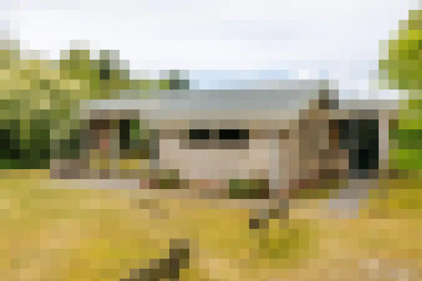 Meeuwenveld 143 Ballum thumbnail 12