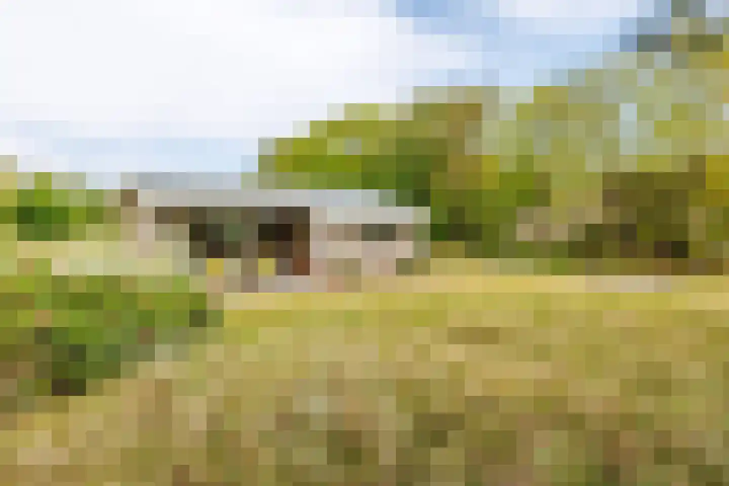 Meeuwenveld 143 Ballum thumbnail 13