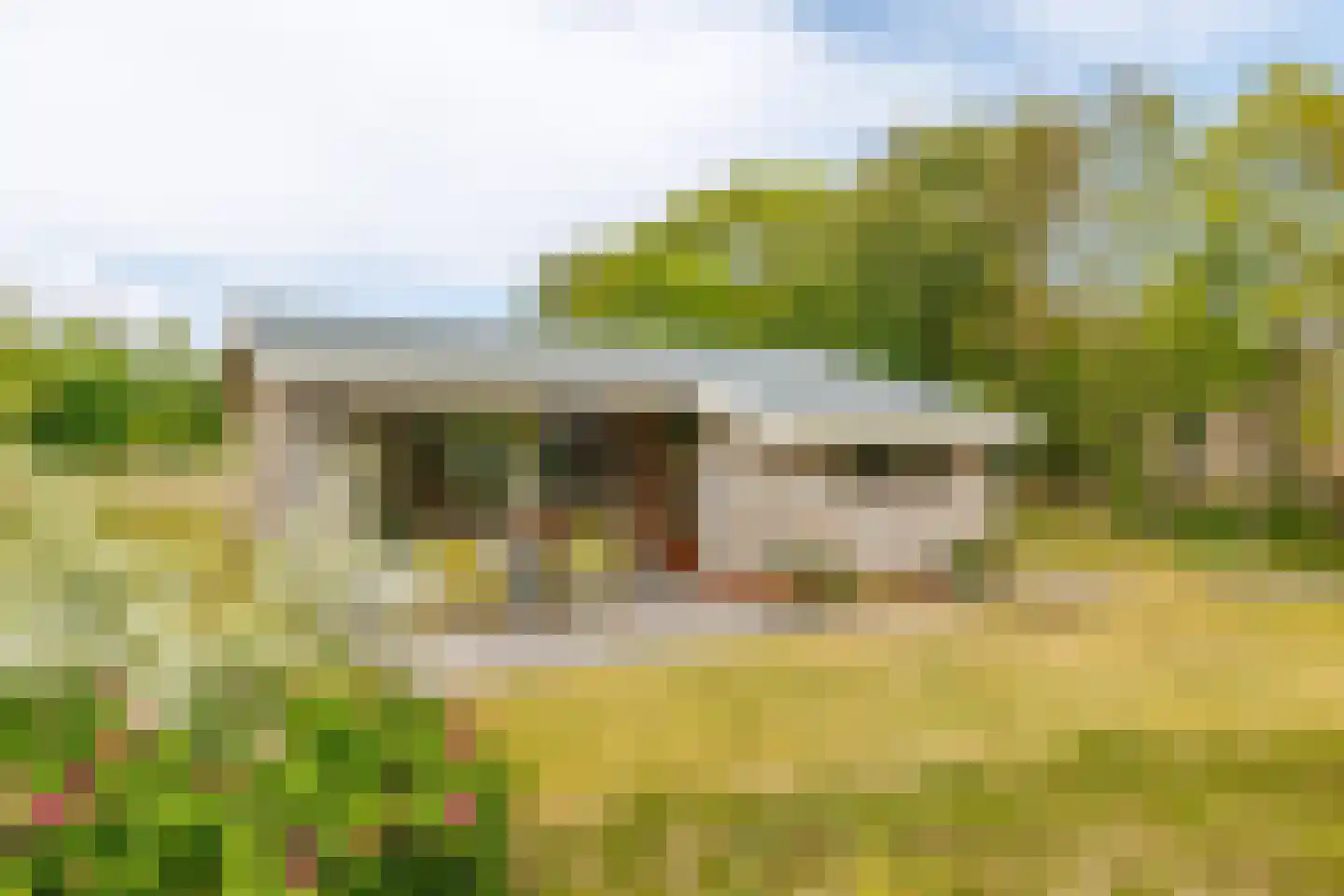 Meeuwenveld 143 Ballum thumbnail 14