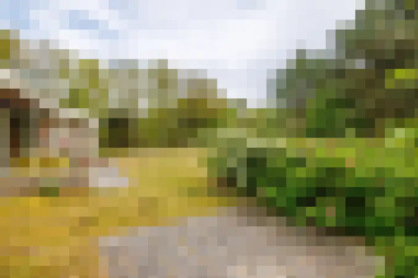 Meeuwenveld 143 Ballum thumbnail 15