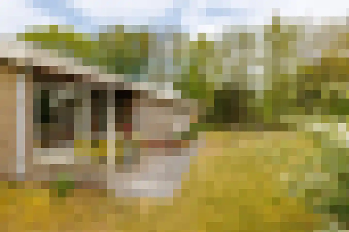 Meeuwenveld 143 Ballum thumbnail 16