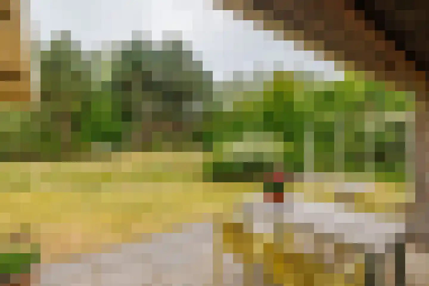 Meeuwenveld 143 Ballum thumbnail 17