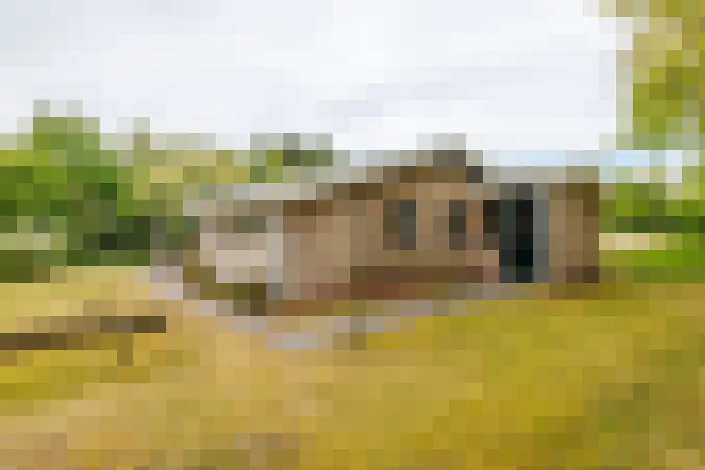 Meeuwenveld 143 Ballum thumbnail 18