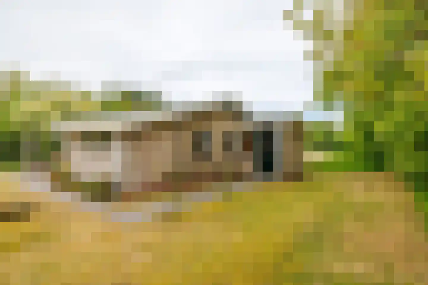 Meeuwenveld 143 Ballum thumbnail 19