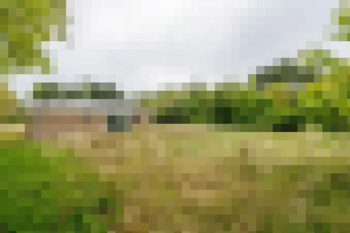 Meeuwenveld 143 Ballum thumbnail 21