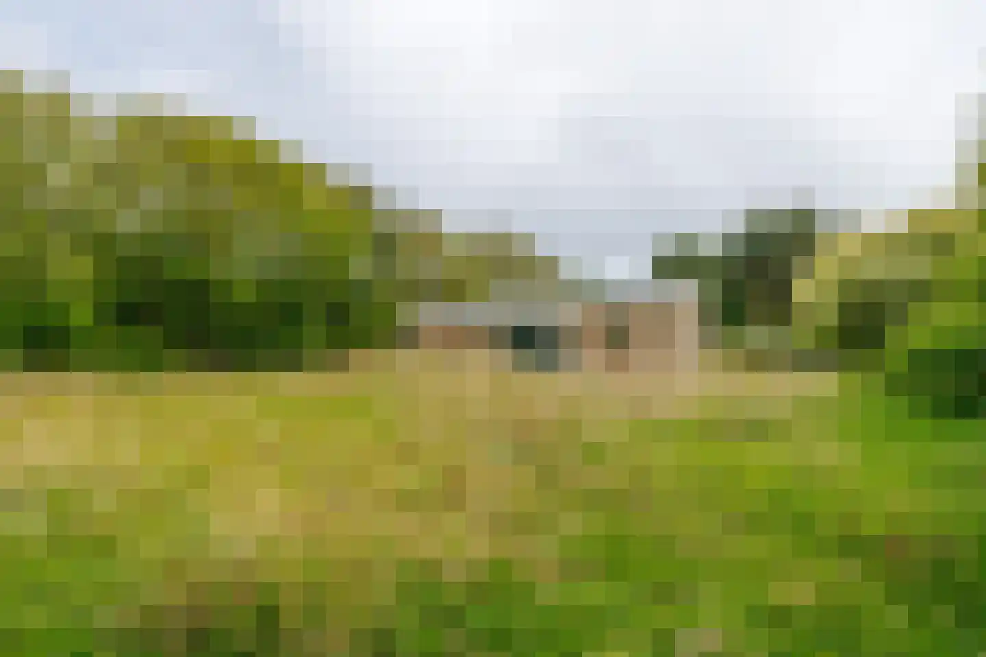 Meeuwenveld 143 Ballum thumbnail 22
